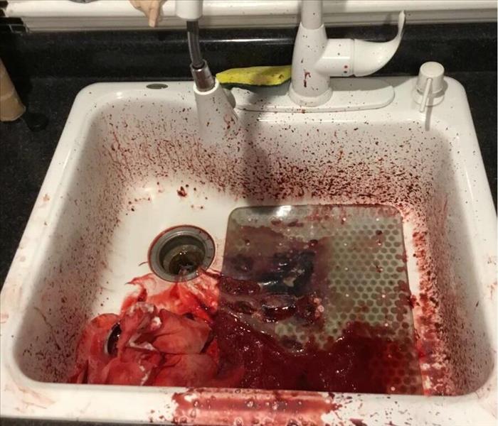 blood and debris in a white sink, blood splatters